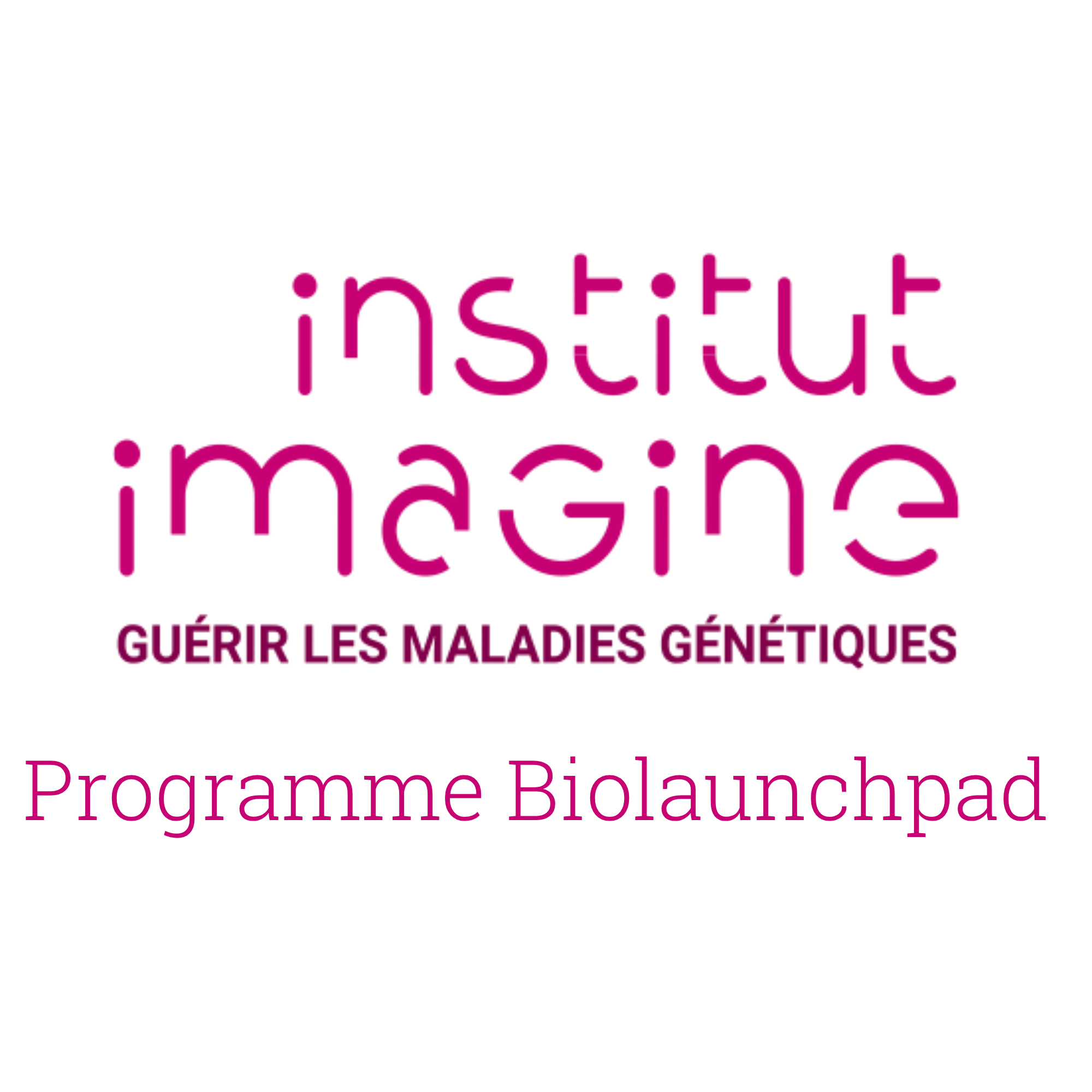 Programme Biolaunchpad